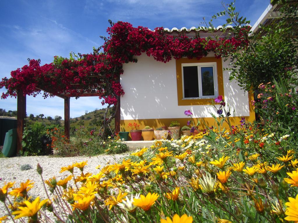 Pensjonat Casa Da Osga
